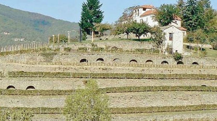 muretti a secco di cortemilia